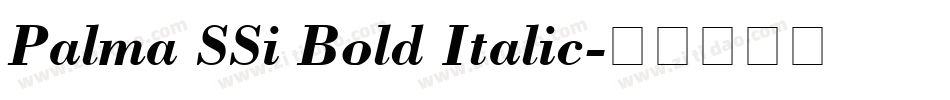 Palma SSi Bold Italic字体转换